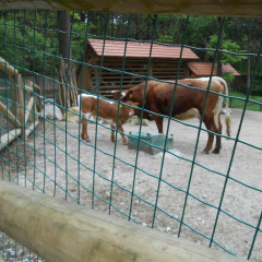 izlet razredna maj 2013009