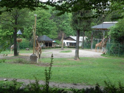 izlet razredna maj 2013011