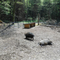 izlet razredna maj 2013016