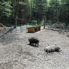 izlet razredna maj 2013016