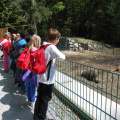 izlet razredna maj 2013017