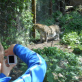 izlet razredna maj 2013019
