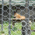 izlet razredna maj 2013020