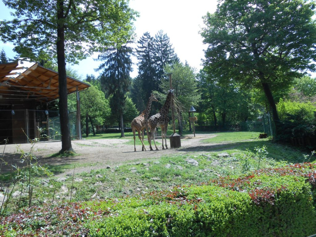izlet razredna maj 2013023