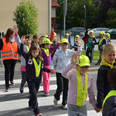 dan brez avta sep 2014003