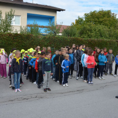 dan brez avta sep 2014008