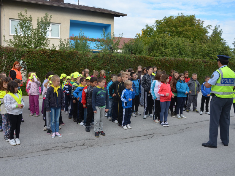 dan brez avta sep 2014008