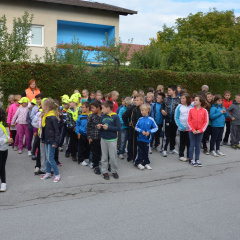 dan brez avta sep 2014009