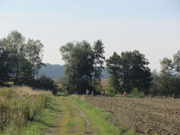 orientacija okt 2013009