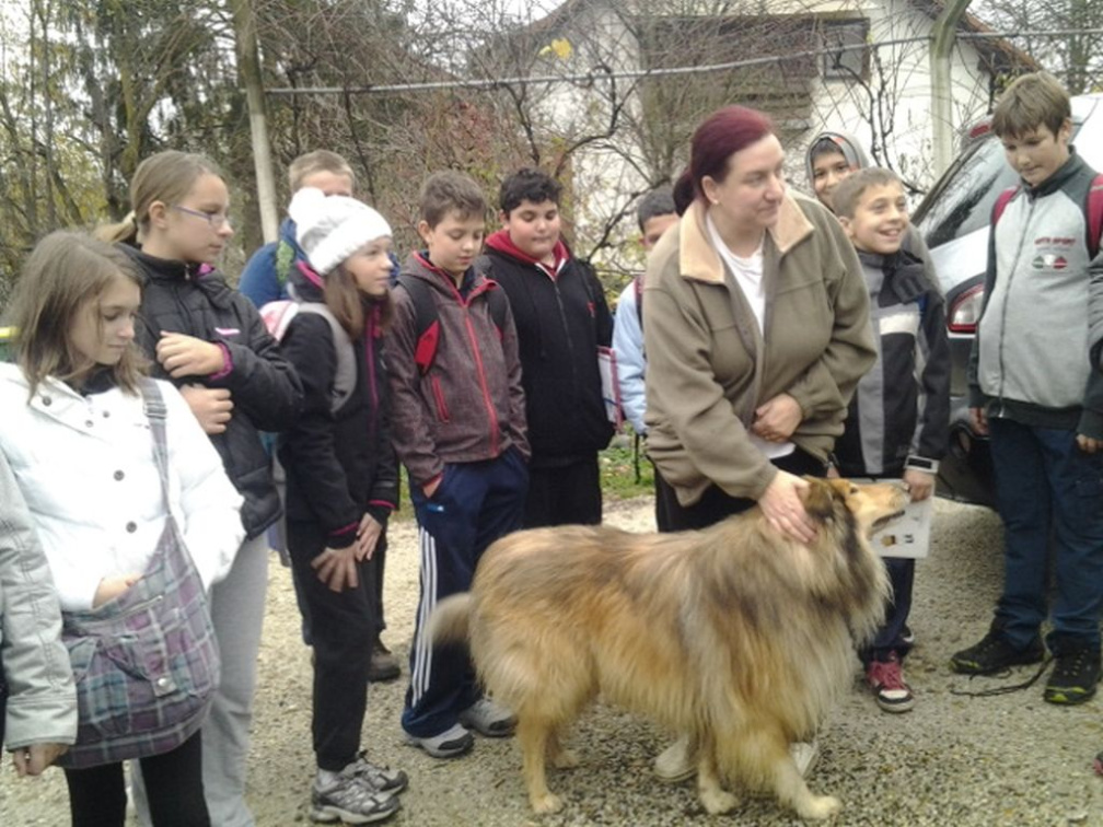 tradzajtrk dec 2013015