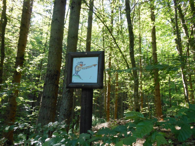 tromejnik jul 2014 003