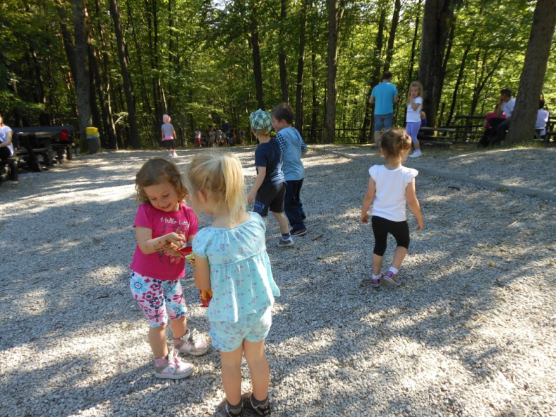 tromejnik jul 2014 013
