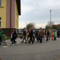 simbioza giba nov 2014 008
