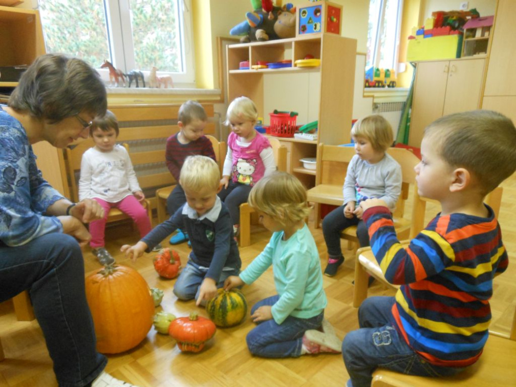 kostanj nov 2014 018