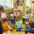 kostanj nov 2014 018