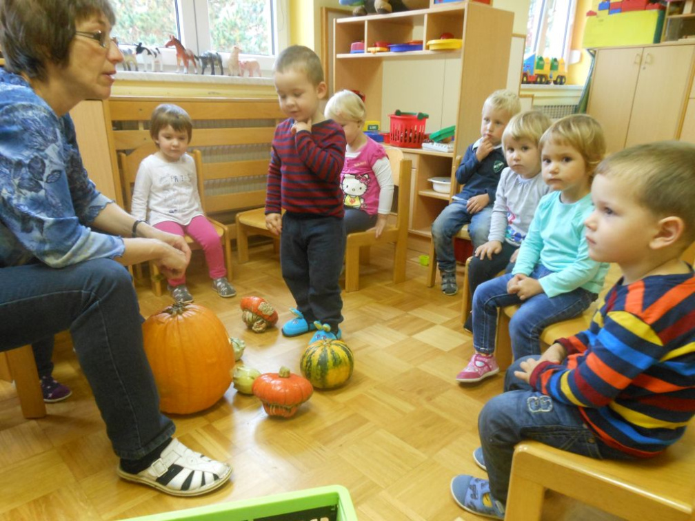 kostanj nov 2014 020