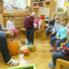 kostanj nov 2014 020