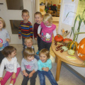 kostanj nov 2014 021