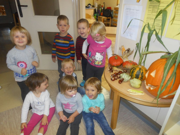 kostanj nov 2014 021