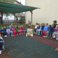 kostanj nov 2014 022