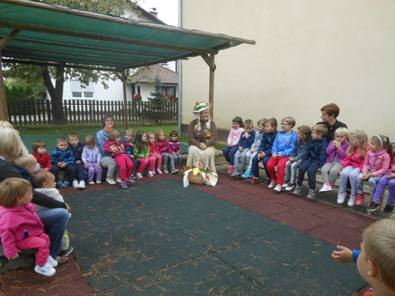 kostanj nov 2014 022
