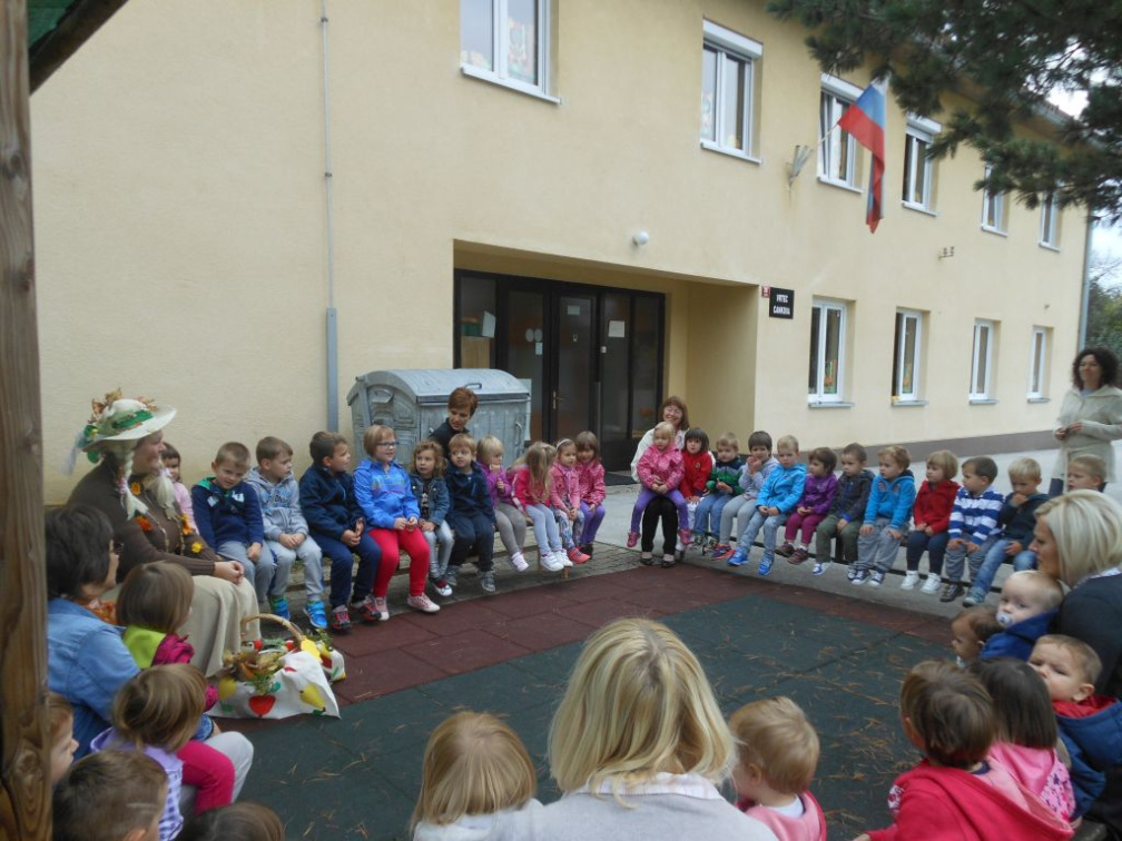 kostanj nov 2014 023