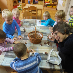 kostanj nov 2014 025