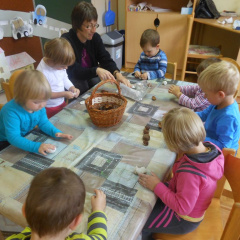 kostanj nov 2014 026