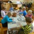 kostanj nov 2014 028