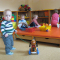 novi prijatelji nov 2014 005
