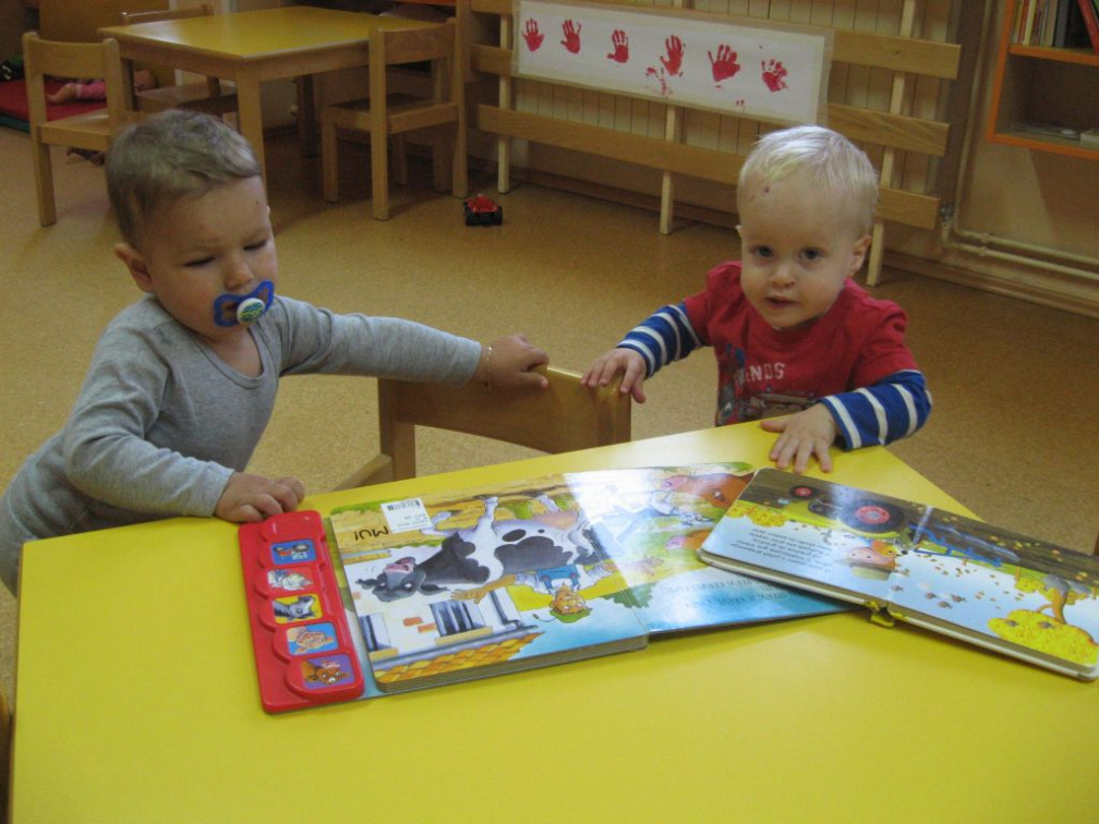 novi prijatelji nov 2014 023