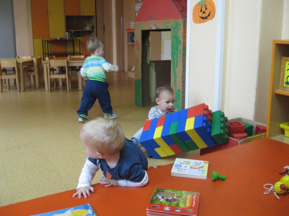 novi prijatelji nov 2014 030