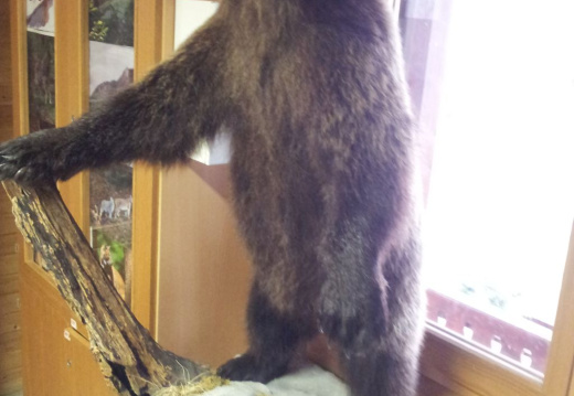 4d CSOD nov 2014 038