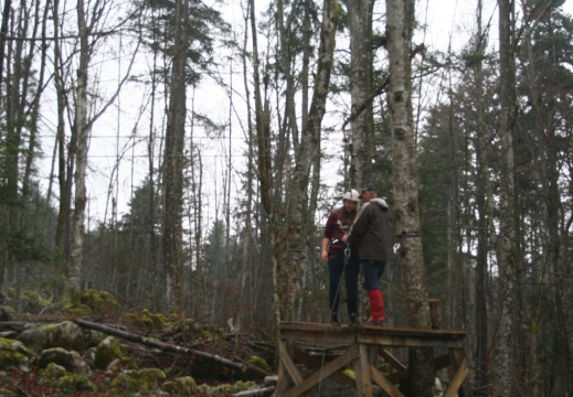 4d CSOD nov 2014 095