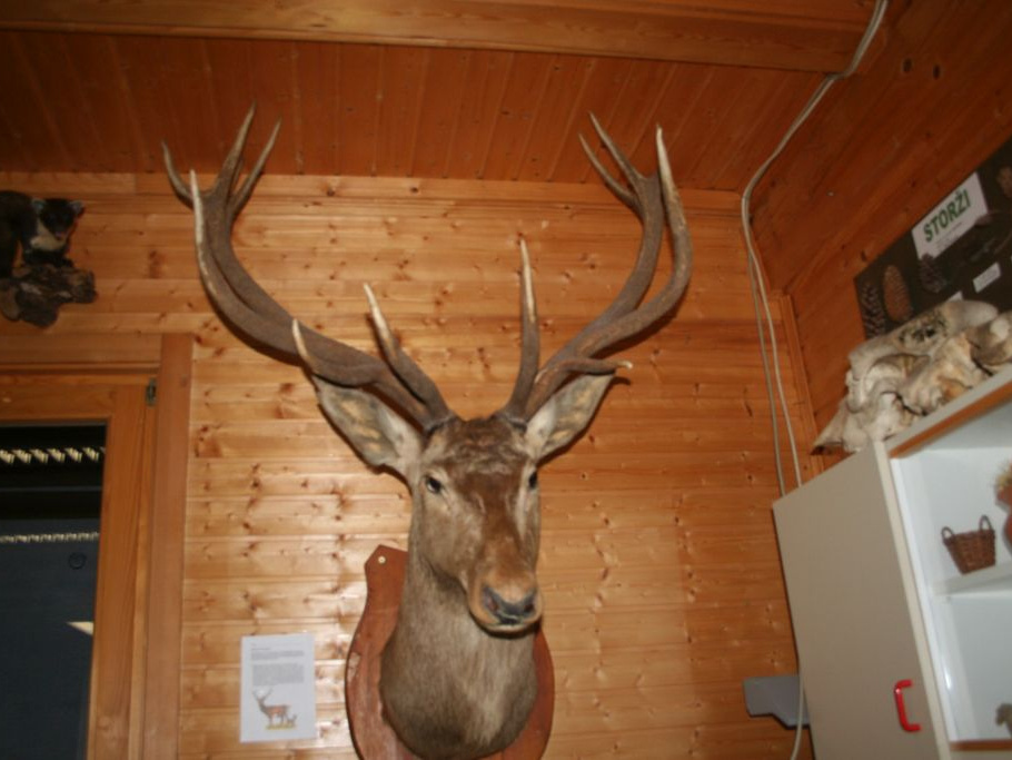 5d CSOD nov 2014 004