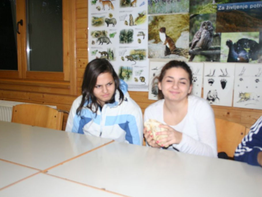 5d CSOD nov 2014 016
