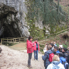 celje 064
