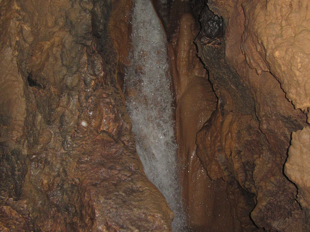 celje 078