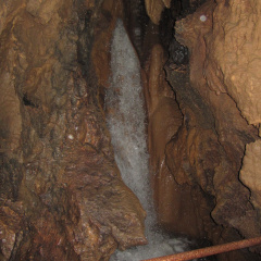 celje 078
