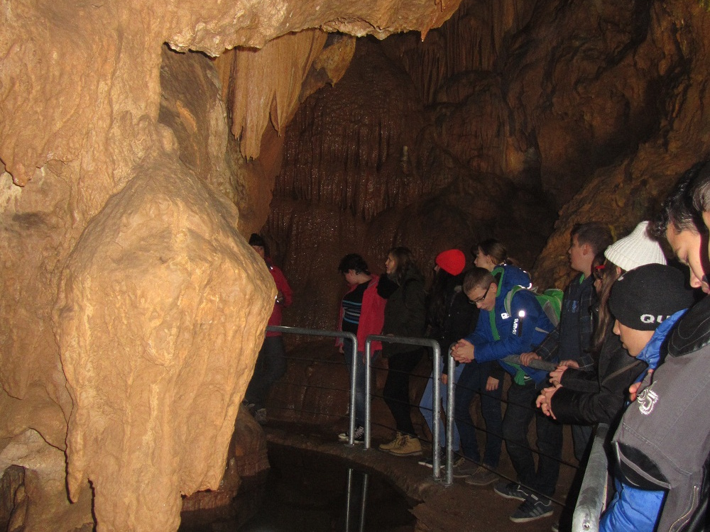 celje 084