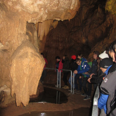 celje 084