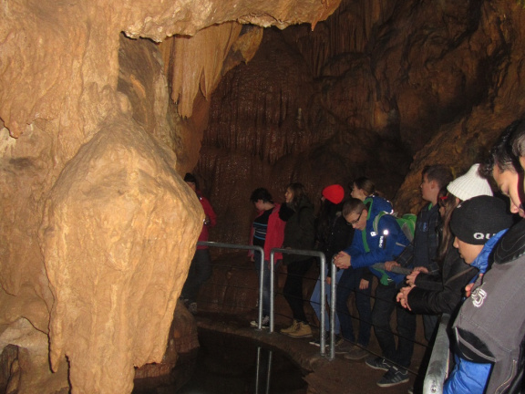celje 084
