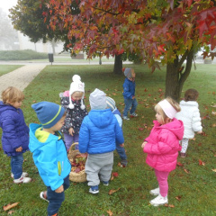 jesen v parkui dec 2014 002