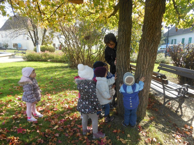 jesen v parkui dec 2014 003