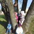 jesen v parkui dec 2014 004