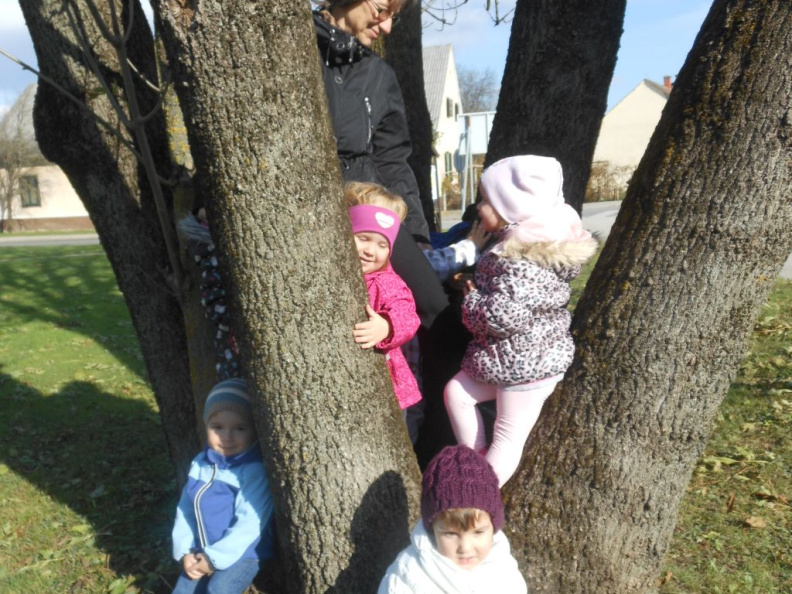 jesen v parkui dec 2014 004