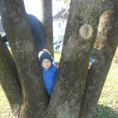 jesen v parkui dec 2014 005