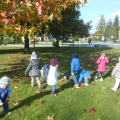 jesen v parkui dec 2014 009