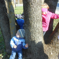 jesen v parkui dec 2014 008