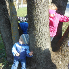 jesen v parkui dec 2014 008